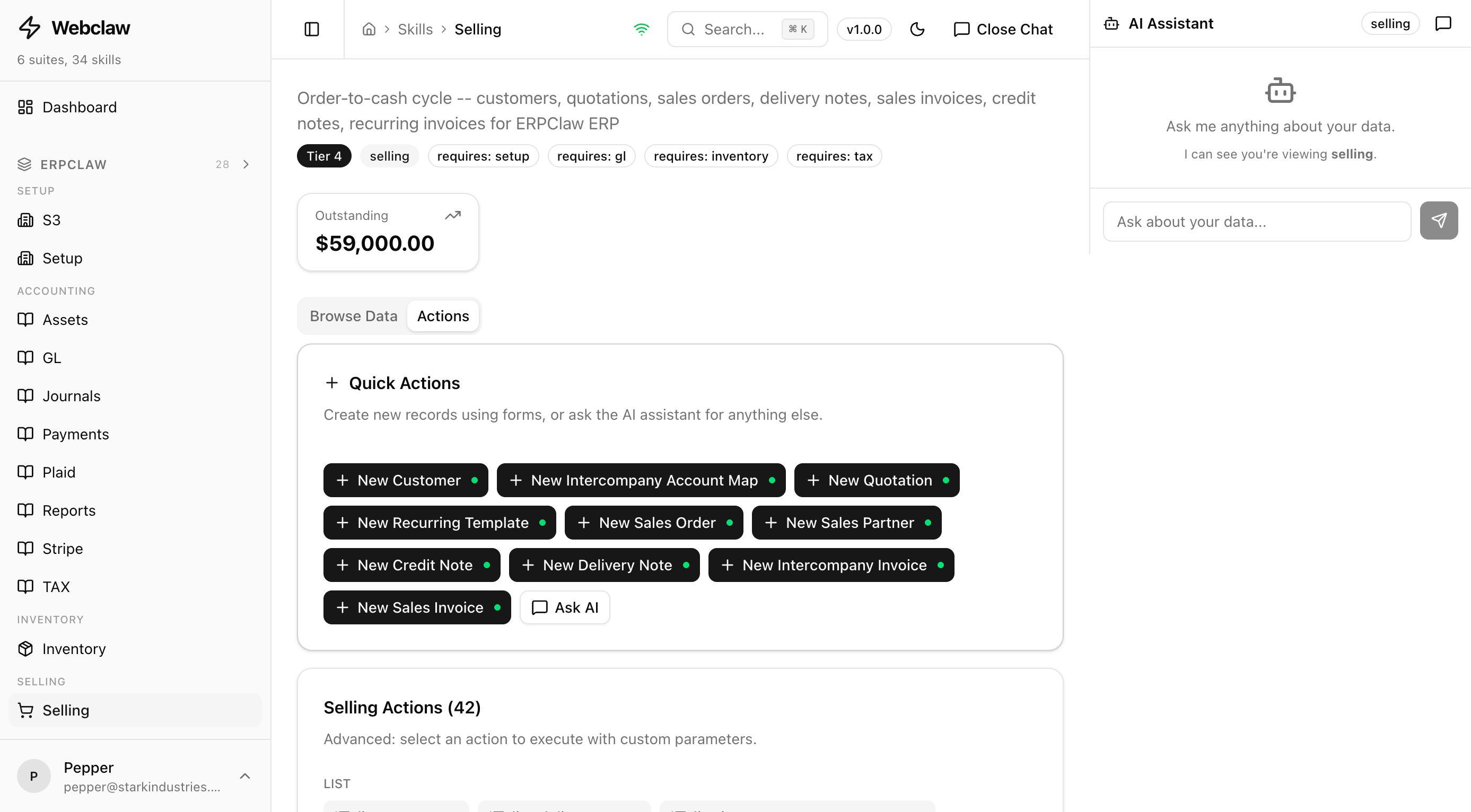 AI chat panel alongside skill data