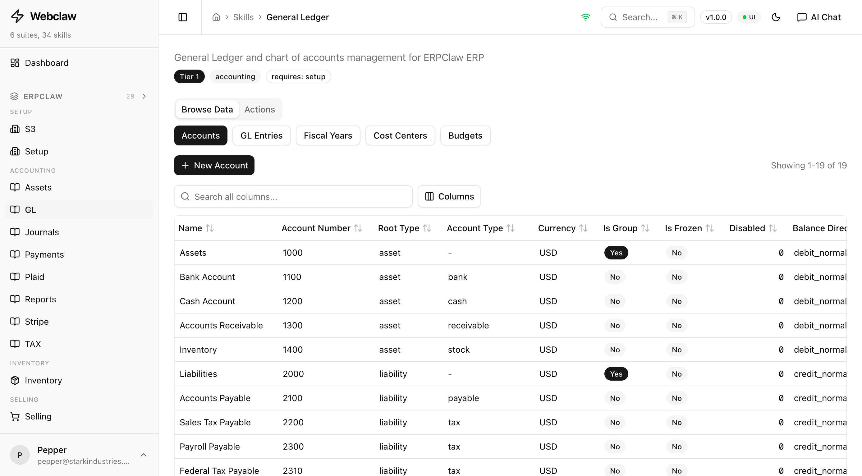 Chart of accounts in the General Ledger module